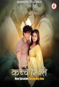 Kache Rishtey (E04-E06) BigShots Hot Web Series