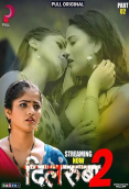 Dilruba (E05-E08) Pull Hot Web Series