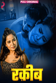 Raqeeb (E01-E04) Pull Hot Web Series