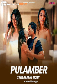 Plumber Addatv Uncut Short Film (2025)