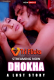 Dhokha : A Lust Story (E01) Triflicks Hot Web Series