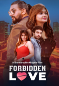 Forbidden Love ShemarooMe Full Bollywood Hot Movie